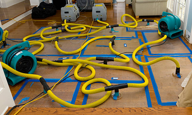 Professional Water Damage Restoration technician working in Middletown, DE